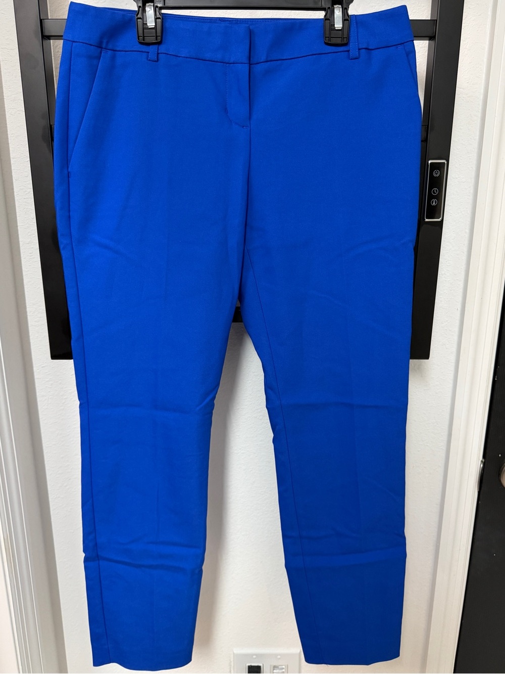 Express Bright Royal Blue Straight Leg Pants